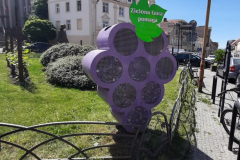 2022.05.19-18-Zielona-Gora-wine-dipped-city-13